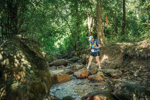 BIB: 
                            <button type="button" onclick="openModal(27493612)" class="btn btn-primary btn-sm float-right btn-popup" data-toggle="modal" data-target=".modal-high-quality">
                        <i class="fas fa-shopping-cart"></i> Add to Cart
                    </button>
                                            <button type="button" onclick="isThisMe(27493612, true)" class="btn btn-success btn-sm float-right btn-popup btn-isme hidden" data-toggle="tooltip" data-placement="bottom" title="นี่คือรูปของคุณใช่ไหม คลิกที่นี่เพื่อเอาเข้าอัลบั้ม">
                        <i class="fas fa-plus"></i> Add to album
                    </button>
                    <button type="button" onclick="isThisMe(27493612, false)" class="btn btn-warning btn-sm float-right btn-popup btn-isnotme hidden">
                        <i class="fas fa-ban"></i> Remove from album
                    </button>