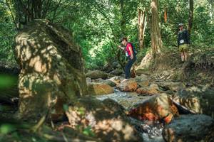 BIB: 
                            <button type="button" onclick="openModal(27494701)" class="btn btn-primary btn-sm float-right btn-popup" data-toggle="modal" data-target=".modal-high-quality">
                        <i class="fas fa-shopping-cart"></i> Add to Cart
                    </button>
                                            <button type="button" onclick="isThisMe(27494701, true)" class="btn btn-success btn-sm float-right btn-popup btn-isme hidden" data-toggle="tooltip" data-placement="bottom" title="นี่คือรูปของคุณใช่ไหม คลิกที่นี่เพื่อเอาเข้าอัลบั้ม">
                        <i class="fas fa-plus"></i> Add to album
                    </button>
                    <button type="button" onclick="isThisMe(27494701, false)" class="btn btn-warning btn-sm float-right btn-popup btn-isnotme hidden">
                        <i class="fas fa-ban"></i> Remove from album
                    </button>