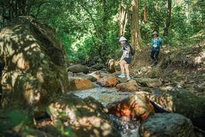 BIB: 
                            <button type="button" onclick="openModal(27494541)" class="btn btn-primary btn-sm float-right btn-popup" data-toggle="modal" data-target=".modal-high-quality">
                        <i class="fas fa-shopping-cart"></i> Add to Cart
                    </button>
                                            <button type="button" onclick="isThisMe(27494541, true)" class="btn btn-success btn-sm float-right btn-popup btn-isme hidden" data-toggle="tooltip" data-placement="bottom" title="นี่คือรูปของคุณใช่ไหม คลิกที่นี่เพื่อเอาเข้าอัลบั้ม">
                        <i class="fas fa-plus"></i> Add to album
                    </button>
                    <button type="button" onclick="isThisMe(27494541, false)" class="btn btn-warning btn-sm float-right btn-popup btn-isnotme hidden">
                        <i class="fas fa-ban"></i> Remove from album
                    </button>