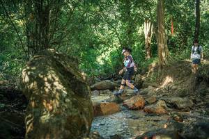 BIB: 
                            <button type="button" onclick="openModal(27493554)" class="btn btn-primary btn-sm float-right btn-popup" data-toggle="modal" data-target=".modal-high-quality">
                        <i class="fas fa-shopping-cart"></i> Add to Cart
                    </button>
                                            <button type="button" onclick="isThisMe(27493554, true)" class="btn btn-success btn-sm float-right btn-popup btn-isme hidden" data-toggle="tooltip" data-placement="bottom" title="นี่คือรูปของคุณใช่ไหม คลิกที่นี่เพื่อเอาเข้าอัลบั้ม">
                        <i class="fas fa-plus"></i> Add to album
                    </button>
                    <button type="button" onclick="isThisMe(27493554, false)" class="btn btn-warning btn-sm float-right btn-popup btn-isnotme hidden">
                        <i class="fas fa-ban"></i> Remove from album
                    </button>