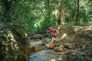 BIB: 
                            <button type="button" onclick="openModal(27493445)" class="btn btn-primary btn-sm float-right btn-popup" data-toggle="modal" data-target=".modal-high-quality">
                        <i class="fas fa-shopping-cart"></i> Add to Cart
                    </button>
                                            <button type="button" onclick="isThisMe(27493445, true)" class="btn btn-success btn-sm float-right btn-popup btn-isme hidden" data-toggle="tooltip" data-placement="bottom" title="นี่คือรูปของคุณใช่ไหม คลิกที่นี่เพื่อเอาเข้าอัลบั้ม">
                        <i class="fas fa-plus"></i> Add to album
                    </button>
                    <button type="button" onclick="isThisMe(27493445, false)" class="btn btn-warning btn-sm float-right btn-popup btn-isnotme hidden">
                        <i class="fas fa-ban"></i> Remove from album
                    </button>