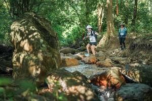 BIB: 
                            <button type="button" onclick="openModal(27494573)" class="btn btn-primary btn-sm float-right btn-popup" data-toggle="modal" data-target=".modal-high-quality">
                        <i class="fas fa-shopping-cart"></i> Add to Cart
                    </button>
                                            <button type="button" onclick="isThisMe(27494573, true)" class="btn btn-success btn-sm float-right btn-popup btn-isme hidden" data-toggle="tooltip" data-placement="bottom" title="นี่คือรูปของคุณใช่ไหม คลิกที่นี่เพื่อเอาเข้าอัลบั้ม">
                        <i class="fas fa-plus"></i> Add to album
                    </button>
                    <button type="button" onclick="isThisMe(27494573, false)" class="btn btn-warning btn-sm float-right btn-popup btn-isnotme hidden">
                        <i class="fas fa-ban"></i> Remove from album
                    </button>