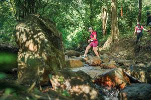 BIB: 
                            <button type="button" onclick="openModal(27494664)" class="btn btn-primary btn-sm float-right btn-popup" data-toggle="modal" data-target=".modal-high-quality">
                        <i class="fas fa-shopping-cart"></i> Add to Cart
                    </button>
                                            <button type="button" onclick="isThisMe(27494664, true)" class="btn btn-success btn-sm float-right btn-popup btn-isme hidden" data-toggle="tooltip" data-placement="bottom" title="นี่คือรูปของคุณใช่ไหม คลิกที่นี่เพื่อเอาเข้าอัลบั้ม">
                        <i class="fas fa-plus"></i> Add to album
                    </button>
                    <button type="button" onclick="isThisMe(27494664, false)" class="btn btn-warning btn-sm float-right btn-popup btn-isnotme hidden">
                        <i class="fas fa-ban"></i> Remove from album
                    </button>