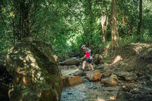 BIB: 
                            <button type="button" onclick="openModal(27493507)" class="btn btn-primary btn-sm float-right btn-popup" data-toggle="modal" data-target=".modal-high-quality">
                        <i class="fas fa-shopping-cart"></i> Add to Cart
                    </button>
                                            <button type="button" onclick="isThisMe(27493507, true)" class="btn btn-success btn-sm float-right btn-popup btn-isme hidden" data-toggle="tooltip" data-placement="bottom" title="นี่คือรูปของคุณใช่ไหม คลิกที่นี่เพื่อเอาเข้าอัลบั้ม">
                        <i class="fas fa-plus"></i> Add to album
                    </button>
                    <button type="button" onclick="isThisMe(27493507, false)" class="btn btn-warning btn-sm float-right btn-popup btn-isnotme hidden">
                        <i class="fas fa-ban"></i> Remove from album
                    </button>