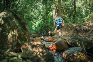 BIB: 
                            <button type="button" onclick="openModal(27494417)" class="btn btn-primary btn-sm float-right btn-popup" data-toggle="modal" data-target=".modal-high-quality">
                        <i class="fas fa-shopping-cart"></i> Add to Cart
                    </button>
                                            <button type="button" onclick="isThisMe(27494417, true)" class="btn btn-success btn-sm float-right btn-popup btn-isme hidden" data-toggle="tooltip" data-placement="bottom" title="นี่คือรูปของคุณใช่ไหม คลิกที่นี่เพื่อเอาเข้าอัลบั้ม">
                        <i class="fas fa-plus"></i> Add to album
                    </button>
                    <button type="button" onclick="isThisMe(27494417, false)" class="btn btn-warning btn-sm float-right btn-popup btn-isnotme hidden">
                        <i class="fas fa-ban"></i> Remove from album
                    </button>