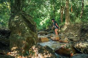 BIB: 
                            <button type="button" onclick="openModal(27495226)" class="btn btn-primary btn-sm float-right btn-popup" data-toggle="modal" data-target=".modal-high-quality">
                        <i class="fas fa-shopping-cart"></i> Add to Cart
                    </button>
                                            <button type="button" onclick="isThisMe(27495226, true)" class="btn btn-success btn-sm float-right btn-popup btn-isme hidden" data-toggle="tooltip" data-placement="bottom" title="นี่คือรูปของคุณใช่ไหม คลิกที่นี่เพื่อเอาเข้าอัลบั้ม">
                        <i class="fas fa-plus"></i> Add to album
                    </button>
                    <button type="button" onclick="isThisMe(27495226, false)" class="btn btn-warning btn-sm float-right btn-popup btn-isnotme hidden">
                        <i class="fas fa-ban"></i> Remove from album
                    </button>