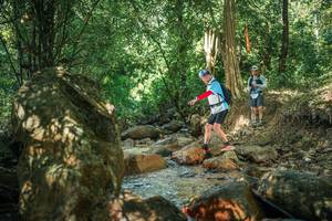 BIB: 
                            <button type="button" onclick="openModal(27493817)" class="btn btn-primary btn-sm float-right btn-popup" data-toggle="modal" data-target=".modal-high-quality">
                        <i class="fas fa-shopping-cart"></i> Add to Cart
                    </button>
                                            <button type="button" onclick="isThisMe(27493817, true)" class="btn btn-success btn-sm float-right btn-popup btn-isme hidden" data-toggle="tooltip" data-placement="bottom" title="นี่คือรูปของคุณใช่ไหม คลิกที่นี่เพื่อเอาเข้าอัลบั้ม">
                        <i class="fas fa-plus"></i> Add to album
                    </button>
                    <button type="button" onclick="isThisMe(27493817, false)" class="btn btn-warning btn-sm float-right btn-popup btn-isnotme hidden">
                        <i class="fas fa-ban"></i> Remove from album
                    </button>