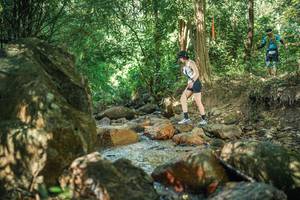 BIB: 
                            <button type="button" onclick="openModal(27494929)" class="btn btn-primary btn-sm float-right btn-popup" data-toggle="modal" data-target=".modal-high-quality">
                        <i class="fas fa-shopping-cart"></i> Add to Cart
                    </button>
                                            <button type="button" onclick="isThisMe(27494929, true)" class="btn btn-success btn-sm float-right btn-popup btn-isme hidden" data-toggle="tooltip" data-placement="bottom" title="นี่คือรูปของคุณใช่ไหม คลิกที่นี่เพื่อเอาเข้าอัลบั้ม">
                        <i class="fas fa-plus"></i> Add to album
                    </button>
                    <button type="button" onclick="isThisMe(27494929, false)" class="btn btn-warning btn-sm float-right btn-popup btn-isnotme hidden">
                        <i class="fas fa-ban"></i> Remove from album
                    </button>