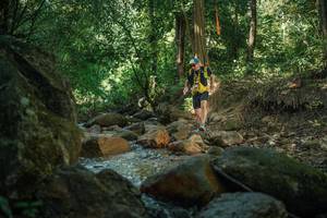 BIB: 
                            <button type="button" onclick="openModal(27436390)" class="btn btn-primary btn-sm float-right btn-popup" data-toggle="modal" data-target=".modal-high-quality">
                        <i class="fas fa-shopping-cart"></i> Add to Cart
                    </button>
                                            <button type="button" onclick="isThisMe(27436390, true)" class="btn btn-success btn-sm float-right btn-popup btn-isme hidden" data-toggle="tooltip" data-placement="bottom" title="นี่คือรูปของคุณใช่ไหม คลิกที่นี่เพื่อเอาเข้าอัลบั้ม">
                        <i class="fas fa-plus"></i> Add to album
                    </button>
                    <button type="button" onclick="isThisMe(27436390, false)" class="btn btn-warning btn-sm float-right btn-popup btn-isnotme hidden">
                        <i class="fas fa-ban"></i> Remove from album
                    </button>