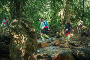 BIB: 
                            <button type="button" onclick="openModal(27494007)" class="btn btn-primary btn-sm float-right btn-popup" data-toggle="modal" data-target=".modal-high-quality">
                        <i class="fas fa-shopping-cart"></i> Add to Cart
                    </button>
                                            <button type="button" onclick="isThisMe(27494007, true)" class="btn btn-success btn-sm float-right btn-popup btn-isme hidden" data-toggle="tooltip" data-placement="bottom" title="นี่คือรูปของคุณใช่ไหม คลิกที่นี่เพื่อเอาเข้าอัลบั้ม">
                        <i class="fas fa-plus"></i> Add to album
                    </button>
                    <button type="button" onclick="isThisMe(27494007, false)" class="btn btn-warning btn-sm float-right btn-popup btn-isnotme hidden">
                        <i class="fas fa-ban"></i> Remove from album
                    </button>