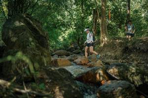 BIB: 
                            <button type="button" onclick="openModal(27436025)" class="btn btn-primary btn-sm float-right btn-popup" data-toggle="modal" data-target=".modal-high-quality">
                        <i class="fas fa-shopping-cart"></i> Add to Cart
                    </button>
                                            <button type="button" onclick="isThisMe(27436025, true)" class="btn btn-success btn-sm float-right btn-popup btn-isme hidden" data-toggle="tooltip" data-placement="bottom" title="นี่คือรูปของคุณใช่ไหม คลิกที่นี่เพื่อเอาเข้าอัลบั้ม">
                        <i class="fas fa-plus"></i> Add to album
                    </button>
                    <button type="button" onclick="isThisMe(27436025, false)" class="btn btn-warning btn-sm float-right btn-popup btn-isnotme hidden">
                        <i class="fas fa-ban"></i> Remove from album
                    </button>