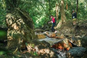 BIB: 
                            <button type="button" onclick="openModal(27494704)" class="btn btn-primary btn-sm float-right btn-popup" data-toggle="modal" data-target=".modal-high-quality">
                        <i class="fas fa-shopping-cart"></i> Add to Cart
                    </button>
                                            <button type="button" onclick="isThisMe(27494704, true)" class="btn btn-success btn-sm float-right btn-popup btn-isme hidden" data-toggle="tooltip" data-placement="bottom" title="นี่คือรูปของคุณใช่ไหม คลิกที่นี่เพื่อเอาเข้าอัลบั้ม">
                        <i class="fas fa-plus"></i> Add to album
                    </button>
                    <button type="button" onclick="isThisMe(27494704, false)" class="btn btn-warning btn-sm float-right btn-popup btn-isnotme hidden">
                        <i class="fas fa-ban"></i> Remove from album
                    </button>