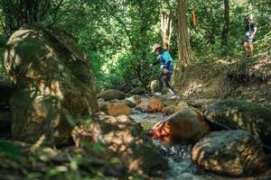 BIB: 
                            <button type="button" onclick="openModal(27494337)" class="btn btn-primary btn-sm float-right btn-popup" data-toggle="modal" data-target=".modal-high-quality">
                        <i class="fas fa-shopping-cart"></i> Add to Cart
                    </button>
                                            <button type="button" onclick="isThisMe(27494337, true)" class="btn btn-success btn-sm float-right btn-popup btn-isme hidden" data-toggle="tooltip" data-placement="bottom" title="นี่คือรูปของคุณใช่ไหม คลิกที่นี่เพื่อเอาเข้าอัลบั้ม">
                        <i class="fas fa-plus"></i> Add to album
                    </button>
                    <button type="button" onclick="isThisMe(27494337, false)" class="btn btn-warning btn-sm float-right btn-popup btn-isnotme hidden">
                        <i class="fas fa-ban"></i> Remove from album
                    </button>