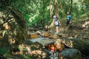 BIB: 
                            <button type="button" onclick="openModal(27494536)" class="btn btn-primary btn-sm float-right btn-popup" data-toggle="modal" data-target=".modal-high-quality">
                        <i class="fas fa-shopping-cart"></i> Add to Cart
                    </button>
                                            <button type="button" onclick="isThisMe(27494536, true)" class="btn btn-success btn-sm float-right btn-popup btn-isme hidden" data-toggle="tooltip" data-placement="bottom" title="นี่คือรูปของคุณใช่ไหม คลิกที่นี่เพื่อเอาเข้าอัลบั้ม">
                        <i class="fas fa-plus"></i> Add to album
                    </button>
                    <button type="button" onclick="isThisMe(27494536, false)" class="btn btn-warning btn-sm float-right btn-popup btn-isnotme hidden">
                        <i class="fas fa-ban"></i> Remove from album
                    </button>