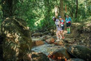 BIB: 
                            <button type="button" onclick="openModal(27493925)" class="btn btn-primary btn-sm float-right btn-popup" data-toggle="modal" data-target=".modal-high-quality">
                        <i class="fas fa-shopping-cart"></i> Add to Cart
                    </button>
                                            <button type="button" onclick="isThisMe(27493925, true)" class="btn btn-success btn-sm float-right btn-popup btn-isme hidden" data-toggle="tooltip" data-placement="bottom" title="นี่คือรูปของคุณใช่ไหม คลิกที่นี่เพื่อเอาเข้าอัลบั้ม">
                        <i class="fas fa-plus"></i> Add to album
                    </button>
                    <button type="button" onclick="isThisMe(27493925, false)" class="btn btn-warning btn-sm float-right btn-popup btn-isnotme hidden">
                        <i class="fas fa-ban"></i> Remove from album
                    </button>