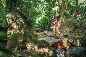 BIB: 
                            <button type="button" onclick="openModal(27494651)" class="btn btn-primary btn-sm float-right btn-popup" data-toggle="modal" data-target=".modal-high-quality">
                        <i class="fas fa-shopping-cart"></i> Add to Cart
                    </button>
                                            <button type="button" onclick="isThisMe(27494651, true)" class="btn btn-success btn-sm float-right btn-popup btn-isme hidden" data-toggle="tooltip" data-placement="bottom" title="นี่คือรูปของคุณใช่ไหม คลิกที่นี่เพื่อเอาเข้าอัลบั้ม">
                        <i class="fas fa-plus"></i> Add to album
                    </button>
                    <button type="button" onclick="isThisMe(27494651, false)" class="btn btn-warning btn-sm float-right btn-popup btn-isnotme hidden">
                        <i class="fas fa-ban"></i> Remove from album
                    </button>