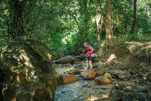 BIB: 
                            <button type="button" onclick="openModal(27493477)" class="btn btn-primary btn-sm float-right btn-popup" data-toggle="modal" data-target=".modal-high-quality">
                        <i class="fas fa-shopping-cart"></i> Add to Cart
                    </button>
                                            <button type="button" onclick="isThisMe(27493477, true)" class="btn btn-success btn-sm float-right btn-popup btn-isme hidden" data-toggle="tooltip" data-placement="bottom" title="นี่คือรูปของคุณใช่ไหม คลิกที่นี่เพื่อเอาเข้าอัลบั้ม">
                        <i class="fas fa-plus"></i> Add to album
                    </button>
                    <button type="button" onclick="isThisMe(27493477, false)" class="btn btn-warning btn-sm float-right btn-popup btn-isnotme hidden">
                        <i class="fas fa-ban"></i> Remove from album
                    </button>