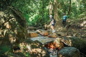 BIB: 
                            <button type="button" onclick="openModal(27494534)" class="btn btn-primary btn-sm float-right btn-popup" data-toggle="modal" data-target=".modal-high-quality">
                        <i class="fas fa-shopping-cart"></i> Add to Cart
                    </button>
                                            <button type="button" onclick="isThisMe(27494534, true)" class="btn btn-success btn-sm float-right btn-popup btn-isme hidden" data-toggle="tooltip" data-placement="bottom" title="นี่คือรูปของคุณใช่ไหม คลิกที่นี่เพื่อเอาเข้าอัลบั้ม">
                        <i class="fas fa-plus"></i> Add to album
                    </button>
                    <button type="button" onclick="isThisMe(27494534, false)" class="btn btn-warning btn-sm float-right btn-popup btn-isnotme hidden">
                        <i class="fas fa-ban"></i> Remove from album
                    </button>