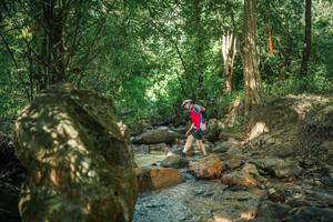 BIB: 
                            <button type="button" onclick="openModal(27493488)" class="btn btn-primary btn-sm float-right btn-popup" data-toggle="modal" data-target=".modal-high-quality">
                        <i class="fas fa-shopping-cart"></i> Add to Cart
                    </button>
                                            <button type="button" onclick="isThisMe(27493488, true)" class="btn btn-success btn-sm float-right btn-popup btn-isme hidden" data-toggle="tooltip" data-placement="bottom" title="นี่คือรูปของคุณใช่ไหม คลิกที่นี่เพื่อเอาเข้าอัลบั้ม">
                        <i class="fas fa-plus"></i> Add to album
                    </button>
                    <button type="button" onclick="isThisMe(27493488, false)" class="btn btn-warning btn-sm float-right btn-popup btn-isnotme hidden">
                        <i class="fas fa-ban"></i> Remove from album
                    </button>