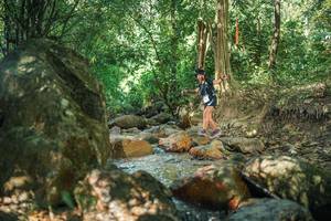 BIB: 
                            <button type="button" onclick="openModal(27495187)" class="btn btn-primary btn-sm float-right btn-popup" data-toggle="modal" data-target=".modal-high-quality">
                        <i class="fas fa-shopping-cart"></i> Add to Cart
                    </button>
                                            <button type="button" onclick="isThisMe(27495187, true)" class="btn btn-success btn-sm float-right btn-popup btn-isme hidden" data-toggle="tooltip" data-placement="bottom" title="นี่คือรูปของคุณใช่ไหม คลิกที่นี่เพื่อเอาเข้าอัลบั้ม">
                        <i class="fas fa-plus"></i> Add to album
                    </button>
                    <button type="button" onclick="isThisMe(27495187, false)" class="btn btn-warning btn-sm float-right btn-popup btn-isnotme hidden">
                        <i class="fas fa-ban"></i> Remove from album
                    </button>