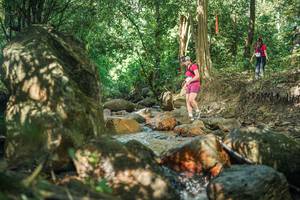 BIB: 
                            <button type="button" onclick="openModal(27494638)" class="btn btn-primary btn-sm float-right btn-popup" data-toggle="modal" data-target=".modal-high-quality">
                        <i class="fas fa-shopping-cart"></i> Add to Cart
                    </button>
                                            <button type="button" onclick="isThisMe(27494638, true)" class="btn btn-success btn-sm float-right btn-popup btn-isme hidden" data-toggle="tooltip" data-placement="bottom" title="นี่คือรูปของคุณใช่ไหม คลิกที่นี่เพื่อเอาเข้าอัลบั้ม">
                        <i class="fas fa-plus"></i> Add to album
                    </button>
                    <button type="button" onclick="isThisMe(27494638, false)" class="btn btn-warning btn-sm float-right btn-popup btn-isnotme hidden">
                        <i class="fas fa-ban"></i> Remove from album
                    </button>