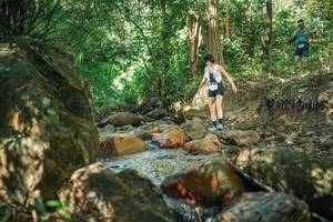 BIB: 
                            <button type="button" onclick="openModal(27494892)" class="btn btn-primary btn-sm float-right btn-popup" data-toggle="modal" data-target=".modal-high-quality">
                        <i class="fas fa-shopping-cart"></i> Add to Cart
                    </button>
                                            <button type="button" onclick="isThisMe(27494892, true)" class="btn btn-success btn-sm float-right btn-popup btn-isme hidden" data-toggle="tooltip" data-placement="bottom" title="นี่คือรูปของคุณใช่ไหม คลิกที่นี่เพื่อเอาเข้าอัลบั้ม">
                        <i class="fas fa-plus"></i> Add to album
                    </button>
                    <button type="button" onclick="isThisMe(27494892, false)" class="btn btn-warning btn-sm float-right btn-popup btn-isnotme hidden">
                        <i class="fas fa-ban"></i> Remove from album
                    </button>