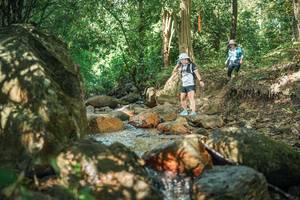 BIB: 
                            <button type="button" onclick="openModal(27494525)" class="btn btn-primary btn-sm float-right btn-popup" data-toggle="modal" data-target=".modal-high-quality">
                        <i class="fas fa-shopping-cart"></i> Add to Cart
                    </button>
                                            <button type="button" onclick="isThisMe(27494525, true)" class="btn btn-success btn-sm float-right btn-popup btn-isme hidden" data-toggle="tooltip" data-placement="bottom" title="นี่คือรูปของคุณใช่ไหม คลิกที่นี่เพื่อเอาเข้าอัลบั้ม">
                        <i class="fas fa-plus"></i> Add to album
                    </button>
                    <button type="button" onclick="isThisMe(27494525, false)" class="btn btn-warning btn-sm float-right btn-popup btn-isnotme hidden">
                        <i class="fas fa-ban"></i> Remove from album
                    </button>