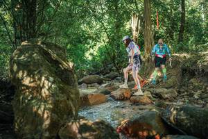 BIB: 
                            <button type="button" onclick="openModal(27493927)" class="btn btn-primary btn-sm float-right btn-popup" data-toggle="modal" data-target=".modal-high-quality">
                        <i class="fas fa-shopping-cart"></i> Add to Cart
                    </button>
                                            <button type="button" onclick="isThisMe(27493927, true)" class="btn btn-success btn-sm float-right btn-popup btn-isme hidden" data-toggle="tooltip" data-placement="bottom" title="นี่คือรูปของคุณใช่ไหม คลิกที่นี่เพื่อเอาเข้าอัลบั้ม">
                        <i class="fas fa-plus"></i> Add to album
                    </button>
                    <button type="button" onclick="isThisMe(27493927, false)" class="btn btn-warning btn-sm float-right btn-popup btn-isnotme hidden">
                        <i class="fas fa-ban"></i> Remove from album
                    </button>