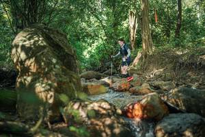 BIB: 
                            <button type="button" onclick="openModal(27494484)" class="btn btn-primary btn-sm float-right btn-popup" data-toggle="modal" data-target=".modal-high-quality">
                        <i class="fas fa-shopping-cart"></i> Add to Cart
                    </button>
                                            <button type="button" onclick="isThisMe(27494484, true)" class="btn btn-success btn-sm float-right btn-popup btn-isme hidden" data-toggle="tooltip" data-placement="bottom" title="นี่คือรูปของคุณใช่ไหม คลิกที่นี่เพื่อเอาเข้าอัลบั้ม">
                        <i class="fas fa-plus"></i> Add to album
                    </button>
                    <button type="button" onclick="isThisMe(27494484, false)" class="btn btn-warning btn-sm float-right btn-popup btn-isnotme hidden">
                        <i class="fas fa-ban"></i> Remove from album
                    </button>