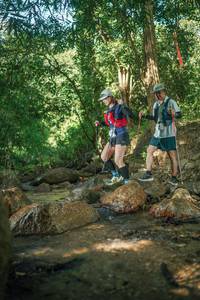 BIB: 
                            <button type="button" onclick="openModal(27489964)" class="btn btn-primary btn-sm float-right btn-popup" data-toggle="modal" data-target=".modal-high-quality">
                        <i class="fas fa-shopping-cart"></i> Add to Cart
                    </button>
                                            <button type="button" onclick="isThisMe(27489964, true)" class="btn btn-success btn-sm float-right btn-popup btn-isme hidden" data-toggle="tooltip" data-placement="bottom" title="นี่คือรูปของคุณใช่ไหม คลิกที่นี่เพื่อเอาเข้าอัลบั้ม">
                        <i class="fas fa-plus"></i> Add to album
                    </button>
                    <button type="button" onclick="isThisMe(27489964, false)" class="btn btn-warning btn-sm float-right btn-popup btn-isnotme hidden">
                        <i class="fas fa-ban"></i> Remove from album
                    </button>