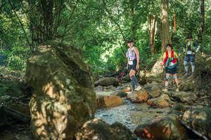 BIB: 
                            <button type="button" onclick="openModal(27494775)" class="btn btn-primary btn-sm float-right btn-popup" data-toggle="modal" data-target=".modal-high-quality">
                        <i class="fas fa-shopping-cart"></i> Add to Cart
                    </button>
                                            <button type="button" onclick="isThisMe(27494775, true)" class="btn btn-success btn-sm float-right btn-popup btn-isme hidden" data-toggle="tooltip" data-placement="bottom" title="นี่คือรูปของคุณใช่ไหม คลิกที่นี่เพื่อเอาเข้าอัลบั้ม">
                        <i class="fas fa-plus"></i> Add to album
                    </button>
                    <button type="button" onclick="isThisMe(27494775, false)" class="btn btn-warning btn-sm float-right btn-popup btn-isnotme hidden">
                        <i class="fas fa-ban"></i> Remove from album
                    </button>