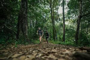 BIB: 
                            <button type="button" onclick="openModal(27665908)" class="btn btn-primary btn-sm float-right btn-popup" data-toggle="modal" data-target=".modal-high-quality">
                        <i class="fas fa-shopping-cart"></i> Add to Cart
                    </button>
                                            <button type="button" onclick="isThisMe(27665908, true)" class="btn btn-success btn-sm float-right btn-popup btn-isme hidden" data-toggle="tooltip" data-placement="bottom" title="นี่คือรูปของคุณใช่ไหม คลิกที่นี่เพื่อเอาเข้าอัลบั้ม">
                        <i class="fas fa-plus"></i> Add to album
                    </button>
                    <button type="button" onclick="isThisMe(27665908, false)" class="btn btn-warning btn-sm float-right btn-popup btn-isnotme hidden">
                        <i class="fas fa-ban"></i> Remove from album
                    </button>