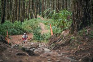 BIB: 
                            <button type="button" onclick="openModal(27618289)" class="btn btn-primary btn-sm float-right btn-popup" data-toggle="modal" data-target=".modal-high-quality">
                        <i class="fas fa-shopping-cart"></i> Add to Cart
                    </button>
                                            <button type="button" onclick="isThisMe(27618289, true)" class="btn btn-success btn-sm float-right btn-popup btn-isme hidden" data-toggle="tooltip" data-placement="bottom" title="นี่คือรูปของคุณใช่ไหม คลิกที่นี่เพื่อเอาเข้าอัลบั้ม">
                        <i class="fas fa-plus"></i> Add to album
                    </button>
                    <button type="button" onclick="isThisMe(27618289, false)" class="btn btn-warning btn-sm float-right btn-popup btn-isnotme hidden">
                        <i class="fas fa-ban"></i> Remove from album
                    </button>