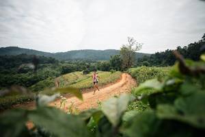 BIB: 
                            <button type="button" onclick="openModal(26805384)" class="btn btn-primary btn-sm float-right btn-popup" data-toggle="modal" data-target=".modal-high-quality">
                        <i class="fas fa-shopping-cart"></i> Add to Cart
                    </button>
                                            <button type="button" onclick="isThisMe(26805384, true)" class="btn btn-success btn-sm float-right btn-popup btn-isme hidden" data-toggle="tooltip" data-placement="bottom" title="นี่คือรูปของคุณใช่ไหม คลิกที่นี่เพื่อเอาเข้าอัลบั้ม">
                        <i class="fas fa-plus"></i> Add to album
                    </button>
                    <button type="button" onclick="isThisMe(26805384, false)" class="btn btn-warning btn-sm float-right btn-popup btn-isnotme hidden">
                        <i class="fas fa-ban"></i> Remove from album
                    </button>