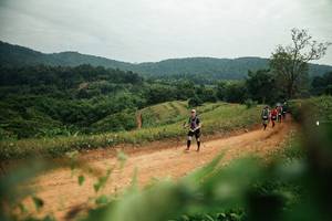 BIB: 
                            <button type="button" onclick="openModal(26807941)" class="btn btn-primary btn-sm float-right btn-popup" data-toggle="modal" data-target=".modal-high-quality">
                        <i class="fas fa-shopping-cart"></i> Add to Cart
                    </button>
                                            <button type="button" onclick="isThisMe(26807941, true)" class="btn btn-success btn-sm float-right btn-popup btn-isme hidden" data-toggle="tooltip" data-placement="bottom" title="นี่คือรูปของคุณใช่ไหม คลิกที่นี่เพื่อเอาเข้าอัลบั้ม">
                        <i class="fas fa-plus"></i> Add to album
                    </button>
                    <button type="button" onclick="isThisMe(26807941, false)" class="btn btn-warning btn-sm float-right btn-popup btn-isnotme hidden">
                        <i class="fas fa-ban"></i> Remove from album
                    </button>