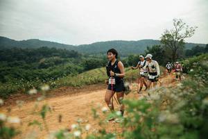 BIB: 
                            <button type="button" onclick="openModal(26807399)" class="btn btn-primary btn-sm float-right btn-popup" data-toggle="modal" data-target=".modal-high-quality">
                        <i class="fas fa-shopping-cart"></i> Add to Cart
                    </button>
                                            <button type="button" onclick="isThisMe(26807399, true)" class="btn btn-success btn-sm float-right btn-popup btn-isme hidden" data-toggle="tooltip" data-placement="bottom" title="นี่คือรูปของคุณใช่ไหม คลิกที่นี่เพื่อเอาเข้าอัลบั้ม">
                        <i class="fas fa-plus"></i> Add to album
                    </button>
                    <button type="button" onclick="isThisMe(26807399, false)" class="btn btn-warning btn-sm float-right btn-popup btn-isnotme hidden">
                        <i class="fas fa-ban"></i> Remove from album
                    </button>