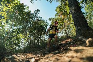 BIB: 
                            <button type="button" onclick="openModal(27767459)" class="btn btn-primary btn-sm float-right btn-popup" data-toggle="modal" data-target=".modal-high-quality">
                        <i class="fas fa-shopping-cart"></i> Add to Cart
                    </button>
                                            <button type="button" onclick="isThisMe(27767459, true)" class="btn btn-success btn-sm float-right btn-popup btn-isme hidden" data-toggle="tooltip" data-placement="bottom" title="นี่คือรูปของคุณใช่ไหม คลิกที่นี่เพื่อเอาเข้าอัลบั้ม">
                        <i class="fas fa-plus"></i> Add to album
                    </button>
                    <button type="button" onclick="isThisMe(27767459, false)" class="btn btn-warning btn-sm float-right btn-popup btn-isnotme hidden">
                        <i class="fas fa-ban"></i> Remove from album
                    </button>