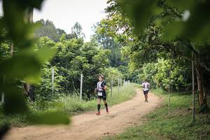 BIB: 
                            <button type="button" onclick="openModal(26822161)" class="btn btn-primary btn-sm float-right btn-popup" data-toggle="modal" data-target=".modal-high-quality">
                        <i class="fas fa-shopping-cart"></i> Add to Cart
                    </button>
                                            <button type="button" onclick="isThisMe(26822161, true)" class="btn btn-success btn-sm float-right btn-popup btn-isme hidden" data-toggle="tooltip" data-placement="bottom" title="นี่คือรูปของคุณใช่ไหม คลิกที่นี่เพื่อเอาเข้าอัลบั้ม">
                        <i class="fas fa-plus"></i> Add to album
                    </button>
                    <button type="button" onclick="isThisMe(26822161, false)" class="btn btn-warning btn-sm float-right btn-popup btn-isnotme hidden">
                        <i class="fas fa-ban"></i> Remove from album
                    </button>