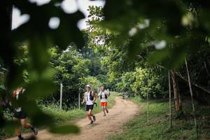 BIB: 
                            <button type="button" onclick="openModal(26831539)" class="btn btn-primary btn-sm float-right btn-popup" data-toggle="modal" data-target=".modal-high-quality">
                        <i class="fas fa-shopping-cart"></i> Add to Cart
                    </button>
                                            <button type="button" onclick="isThisMe(26831539, true)" class="btn btn-success btn-sm float-right btn-popup btn-isme hidden" data-toggle="tooltip" data-placement="bottom" title="นี่คือรูปของคุณใช่ไหม คลิกที่นี่เพื่อเอาเข้าอัลบั้ม">
                        <i class="fas fa-plus"></i> Add to album
                    </button>
                    <button type="button" onclick="isThisMe(26831539, false)" class="btn btn-warning btn-sm float-right btn-popup btn-isnotme hidden">
                        <i class="fas fa-ban"></i> Remove from album
                    </button>