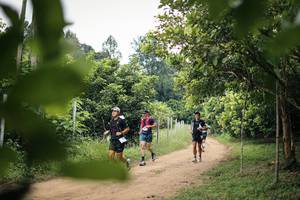 BIB: 
                            <button type="button" onclick="openModal(26822281)" class="btn btn-primary btn-sm float-right btn-popup" data-toggle="modal" data-target=".modal-high-quality">
                        <i class="fas fa-shopping-cart"></i> Add to Cart
                    </button>
                                            <button type="button" onclick="isThisMe(26822281, true)" class="btn btn-success btn-sm float-right btn-popup btn-isme hidden" data-toggle="tooltip" data-placement="bottom" title="นี่คือรูปของคุณใช่ไหม คลิกที่นี่เพื่อเอาเข้าอัลบั้ม">
                        <i class="fas fa-plus"></i> Add to album
                    </button>
                    <button type="button" onclick="isThisMe(26822281, false)" class="btn btn-warning btn-sm float-right btn-popup btn-isnotme hidden">
                        <i class="fas fa-ban"></i> Remove from album
                    </button>