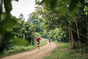 BIB: 
                            <button type="button" onclick="openModal(26831780)" class="btn btn-primary btn-sm float-right btn-popup" data-toggle="modal" data-target=".modal-high-quality">
                        <i class="fas fa-shopping-cart"></i> Add to Cart
                    </button>
                                            <button type="button" onclick="isThisMe(26831780, true)" class="btn btn-success btn-sm float-right btn-popup btn-isme hidden" data-toggle="tooltip" data-placement="bottom" title="นี่คือรูปของคุณใช่ไหม คลิกที่นี่เพื่อเอาเข้าอัลบั้ม">
                        <i class="fas fa-plus"></i> Add to album
                    </button>
                    <button type="button" onclick="isThisMe(26831780, false)" class="btn btn-warning btn-sm float-right btn-popup btn-isnotme hidden">
                        <i class="fas fa-ban"></i> Remove from album
                    </button>