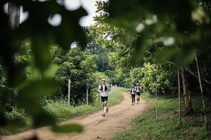 BIB: 
                            <button type="button" onclick="openModal(26826296)" class="btn btn-primary btn-sm float-right btn-popup" data-toggle="modal" data-target=".modal-high-quality">
                        <i class="fas fa-shopping-cart"></i> Add to Cart
                    </button>
                                            <button type="button" onclick="isThisMe(26826296, true)" class="btn btn-success btn-sm float-right btn-popup btn-isme hidden" data-toggle="tooltip" data-placement="bottom" title="นี่คือรูปของคุณใช่ไหม คลิกที่นี่เพื่อเอาเข้าอัลบั้ม">
                        <i class="fas fa-plus"></i> Add to album
                    </button>
                    <button type="button" onclick="isThisMe(26826296, false)" class="btn btn-warning btn-sm float-right btn-popup btn-isnotme hidden">
                        <i class="fas fa-ban"></i> Remove from album
                    </button>