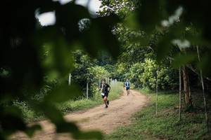 BIB: 
                            <button type="button" onclick="openModal(26831263)" class="btn btn-primary btn-sm float-right btn-popup" data-toggle="modal" data-target=".modal-high-quality">
                        <i class="fas fa-shopping-cart"></i> Add to Cart
                    </button>
                                            <button type="button" onclick="isThisMe(26831263, true)" class="btn btn-success btn-sm float-right btn-popup btn-isme hidden" data-toggle="tooltip" data-placement="bottom" title="นี่คือรูปของคุณใช่ไหม คลิกที่นี่เพื่อเอาเข้าอัลบั้ม">
                        <i class="fas fa-plus"></i> Add to album
                    </button>
                    <button type="button" onclick="isThisMe(26831263, false)" class="btn btn-warning btn-sm float-right btn-popup btn-isnotme hidden">
                        <i class="fas fa-ban"></i> Remove from album
                    </button>