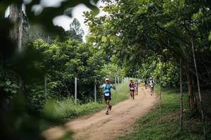 BIB: 
                            <button type="button" onclick="openModal(26829375)" class="btn btn-primary btn-sm float-right btn-popup" data-toggle="modal" data-target=".modal-high-quality">
                        <i class="fas fa-shopping-cart"></i> Add to Cart
                    </button>
                                            <button type="button" onclick="isThisMe(26829375, true)" class="btn btn-success btn-sm float-right btn-popup btn-isme hidden" data-toggle="tooltip" data-placement="bottom" title="นี่คือรูปของคุณใช่ไหม คลิกที่นี่เพื่อเอาเข้าอัลบั้ม">
                        <i class="fas fa-plus"></i> Add to album
                    </button>
                    <button type="button" onclick="isThisMe(26829375, false)" class="btn btn-warning btn-sm float-right btn-popup btn-isnotme hidden">
                        <i class="fas fa-ban"></i> Remove from album
                    </button>