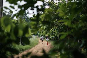 BIB: 
                            <button type="button" onclick="openModal(26834700)" class="btn btn-primary btn-sm float-right btn-popup" data-toggle="modal" data-target=".modal-high-quality">
                        <i class="fas fa-shopping-cart"></i> Add to Cart
                    </button>
                                            <button type="button" onclick="isThisMe(26834700, true)" class="btn btn-success btn-sm float-right btn-popup btn-isme hidden" data-toggle="tooltip" data-placement="bottom" title="นี่คือรูปของคุณใช่ไหม คลิกที่นี่เพื่อเอาเข้าอัลบั้ม">
                        <i class="fas fa-plus"></i> Add to album
                    </button>
                    <button type="button" onclick="isThisMe(26834700, false)" class="btn btn-warning btn-sm float-right btn-popup btn-isnotme hidden">
                        <i class="fas fa-ban"></i> Remove from album
                    </button>