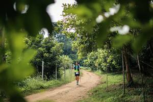 BIB: 
                            <button type="button" onclick="openModal(26821137)" class="btn btn-primary btn-sm float-right btn-popup" data-toggle="modal" data-target=".modal-high-quality">
                        <i class="fas fa-shopping-cart"></i> Add to Cart
                    </button>
                                            <button type="button" onclick="isThisMe(26821137, true)" class="btn btn-success btn-sm float-right btn-popup btn-isme hidden" data-toggle="tooltip" data-placement="bottom" title="นี่คือรูปของคุณใช่ไหม คลิกที่นี่เพื่อเอาเข้าอัลบั้ม">
                        <i class="fas fa-plus"></i> Add to album
                    </button>
                    <button type="button" onclick="isThisMe(26821137, false)" class="btn btn-warning btn-sm float-right btn-popup btn-isnotme hidden">
                        <i class="fas fa-ban"></i> Remove from album
                    </button>