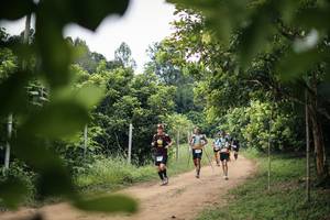 BIB: 
                            <button type="button" onclick="openModal(26823443)" class="btn btn-primary btn-sm float-right btn-popup" data-toggle="modal" data-target=".modal-high-quality">
                        <i class="fas fa-shopping-cart"></i> Add to Cart
                    </button>
                                            <button type="button" onclick="isThisMe(26823443, true)" class="btn btn-success btn-sm float-right btn-popup btn-isme hidden" data-toggle="tooltip" data-placement="bottom" title="นี่คือรูปของคุณใช่ไหม คลิกที่นี่เพื่อเอาเข้าอัลบั้ม">
                        <i class="fas fa-plus"></i> Add to album
                    </button>
                    <button type="button" onclick="isThisMe(26823443, false)" class="btn btn-warning btn-sm float-right btn-popup btn-isnotme hidden">
                        <i class="fas fa-ban"></i> Remove from album
                    </button>