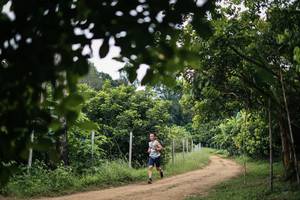 BIB: 
                            <button type="button" onclick="openModal(26834511)" class="btn btn-primary btn-sm float-right btn-popup" data-toggle="modal" data-target=".modal-high-quality">
                        <i class="fas fa-shopping-cart"></i> Add to Cart
                    </button>
                                            <button type="button" onclick="isThisMe(26834511, true)" class="btn btn-success btn-sm float-right btn-popup btn-isme hidden" data-toggle="tooltip" data-placement="bottom" title="นี่คือรูปของคุณใช่ไหม คลิกที่นี่เพื่อเอาเข้าอัลบั้ม">
                        <i class="fas fa-plus"></i> Add to album
                    </button>
                    <button type="button" onclick="isThisMe(26834511, false)" class="btn btn-warning btn-sm float-right btn-popup btn-isnotme hidden">
                        <i class="fas fa-ban"></i> Remove from album
                    </button>