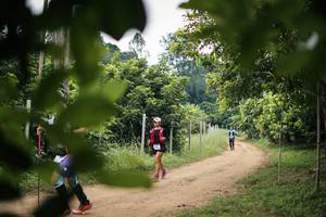 BIB: 
                            <button type="button" onclick="openModal(26821693)" class="btn btn-primary btn-sm float-right btn-popup" data-toggle="modal" data-target=".modal-high-quality">
                        <i class="fas fa-shopping-cart"></i> Add to Cart
                    </button>
                                            <button type="button" onclick="isThisMe(26821693, true)" class="btn btn-success btn-sm float-right btn-popup btn-isme hidden" data-toggle="tooltip" data-placement="bottom" title="นี่คือรูปของคุณใช่ไหม คลิกที่นี่เพื่อเอาเข้าอัลบั้ม">
                        <i class="fas fa-plus"></i> Add to album
                    </button>
                    <button type="button" onclick="isThisMe(26821693, false)" class="btn btn-warning btn-sm float-right btn-popup btn-isnotme hidden">
                        <i class="fas fa-ban"></i> Remove from album
                    </button>