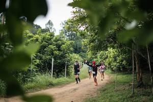 BIB: 
                            <button type="button" onclick="openModal(26823658)" class="btn btn-primary btn-sm float-right btn-popup" data-toggle="modal" data-target=".modal-high-quality">
                        <i class="fas fa-shopping-cart"></i> Add to Cart
                    </button>
                                            <button type="button" onclick="isThisMe(26823658, true)" class="btn btn-success btn-sm float-right btn-popup btn-isme hidden" data-toggle="tooltip" data-placement="bottom" title="นี่คือรูปของคุณใช่ไหม คลิกที่นี่เพื่อเอาเข้าอัลบั้ม">
                        <i class="fas fa-plus"></i> Add to album
                    </button>
                    <button type="button" onclick="isThisMe(26823658, false)" class="btn btn-warning btn-sm float-right btn-popup btn-isnotme hidden">
                        <i class="fas fa-ban"></i> Remove from album
                    </button>